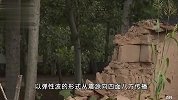专家解读山东德州平原县地震，地震预警来临的几秒，我们可以做什么？