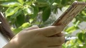 江苏一女子和网友“奔现” 突然冲进3男子