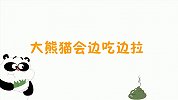 动物冷知识 大熊猫会边吃边拉