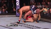 UFC-14年-UFC Fight Night 55自由格斗：洛克霍德vs波特舍-专题