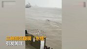 【安徽】三峡水怪事发地安徽池州“水怪”或为被冲走的围油栏
