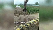 桥洞被秸秆堵住河水淹没玉米田，路过的00后小伙开挖掘机免费疏通：举手之劳