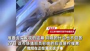海鲜摊贩给鱼涂不明黄色液体疑增色？顾客询问遭无视，市场回应