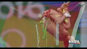 奥运会-16年-全景奥运第15期：中国女排时隔12年再度登顶 跆拳道女将郑姝音夺中国军团第25金-全场