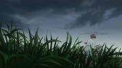 犟驴小红军 第12集