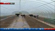 早间新闻-20120328-农技课堂进田间科技育秧保春播