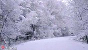 定位敦化老白山公路：雪覆公路向远山，一帧冬日长卷!