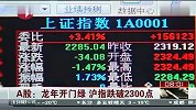 A股：龙年开门绿 沪指跌破2300点