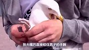 男子好心救助被困的海鸥，小家伙竟恩将仇报，海鸥-我也很慌啊