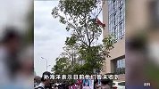 孙海洋辟谣孙卓被拐案已宣判：暂无消息，仍盼拐骗拐卖同罪
