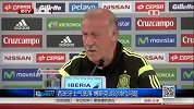 世界杯-14年-小组赛-B组-第3轮-西班牙士气低落 博斯克谈论帅位问题-新闻