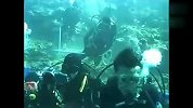 海岛激情潜水