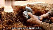 大叔居然用烂树根制作出了一款精美绝伦的休闲桌，简直太厉害了