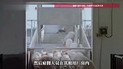男子用母猪肉冒充牛肉卖近500万，被判15年
