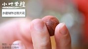 这么神秘的小叶紫檀水磨车珠子过程你知道多少？