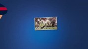 NFL-1617赛季-常规赛-第11周-休斯顿德州人球队动画：NFL最年轻的球队-专题