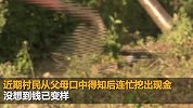 安徽一户村民将200万现金埋地下5年 发霉损失近四分之一