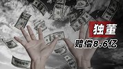 5独董赔偿8.6亿