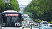 北京进入蜱虫活跃期，传播疾病严重可致死