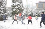 论北京大雪后什么运动最应景儿？网友：打雪仗玩命的那种！