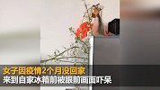 女子2个月不在家回来看到冰箱愣住 打开后更是不得了