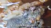 焦作师专食堂烤鱼被指现蛆虫，后勤：市监局已介入