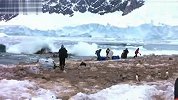 旅游-南极冰山崩裂坍塌时的惊人一幕