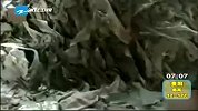 新闻直通车-20120417-山东沂水也发现不法制胶厂