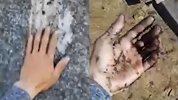 密恐慎入！ 数十亿蚊子侵袭俄罗斯城镇