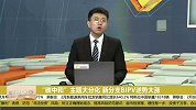 “碳中和”主题大分化，新分支BIPV逆势大涨