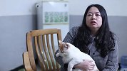 他们收养了上千只流浪猫，白天上班晚上做铲屎官维持运转。