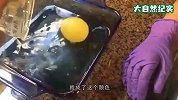 在海底将一颗“生鸡蛋”打开，鸡蛋竟在水中漂浮着