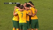 亚洲杯-15年-淘汰赛-半决赛-第14分钟进球 禁区混战澳大利亚戴维森怒射破门-花絮