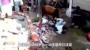牛爬上屋顶，下一秒直接坠落，真是太惊险了！