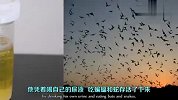 旅游-150625-10个不可思议的幸存之人