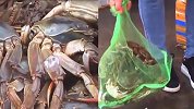 河南一海鲜市场大量死蟹疑流入饭店 最低5毛一斤