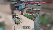 云南一亚洲象闯入村民家中，把玩落在地上的玩具车，当地镇政府回应
