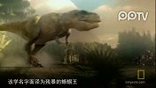 数码-白垩纪霸王龙讲述：不做大哥很多年