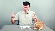 怎么向大佬学习投资？想明白两点，打造适合自己的方向
