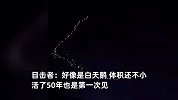 市民夜间拍下发光鸟群，体积不小形似白天鹅，目击者：50多岁第一次见
