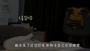 狗子独自在家睡觉，结果半夜听到有动静，出去一看气炸了