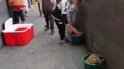 安徽阜阳一小学学生将营养餐倒掉溢出垃圾桶 校方：众口难调