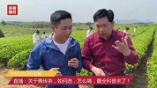 直播：关于青砖茶，如何选，怎么喝，最全科普来了！