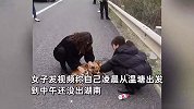 假期最后一天的高速有多堵，狗子在高速上都生了，网友纷纷支招起名