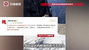 两只猫在华山顶上对决，游客无人劝架全在“拱火”