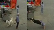 广东老人被狗绳绊倒身亡：医生还原事发经过 家属不会过于追责