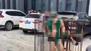 新郎遇婚闹被关铁笼浇绿漆：脱得只剩一条内裤