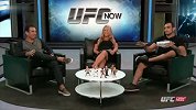 UFC-15年-站立为王不搞基 UFC五大拳击高手KO时刻-专题