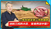 中国人一年吃掉全球一半的猪肉，消耗三成的大豆，谁来养活中国？