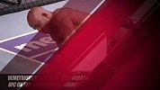 UFC-13年-UFC最佳降服回顾 约翰逊VS莫拉-专题